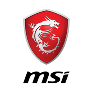 MSI